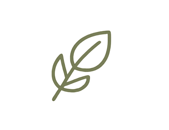 K Tea Matcha quality